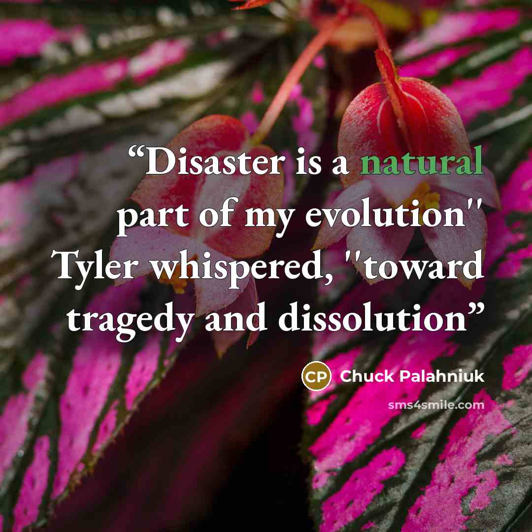 “Disaster is a natural part of my evolution'' Tyler whispered, ''toward tragedy and dissolution” quote by Chuck Palahniuk