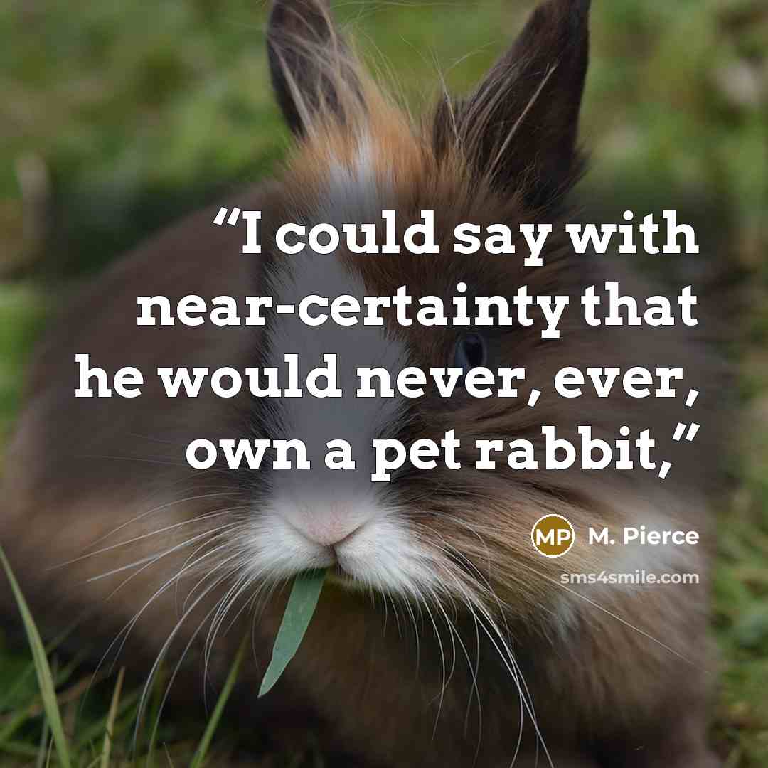 “I could say with near-certainty that he would never, ever, own a pet rabbit,” quote by M. Pierce
