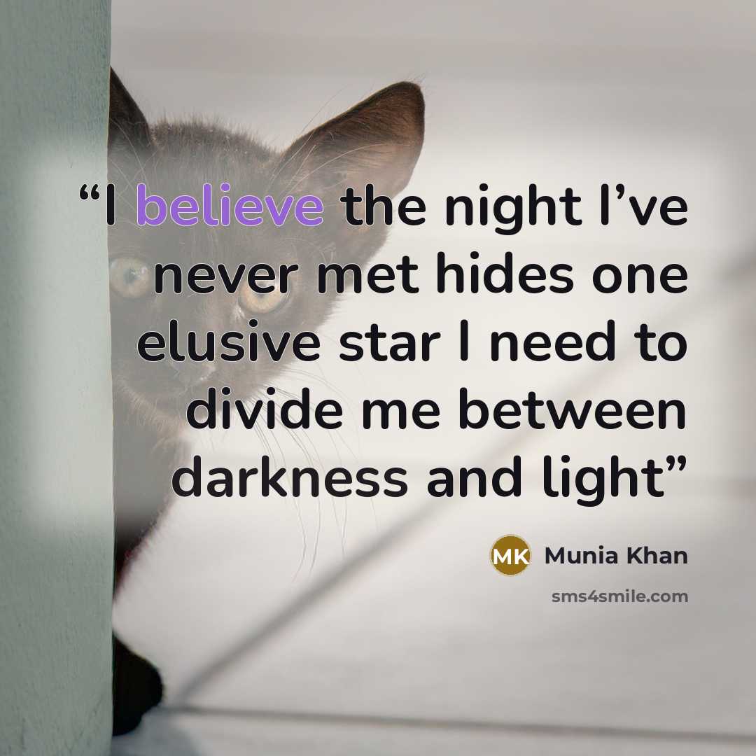 “I believe the night I’ve never met hides one elusive star I need to divide me between darkness and light” quote by Munia Khan