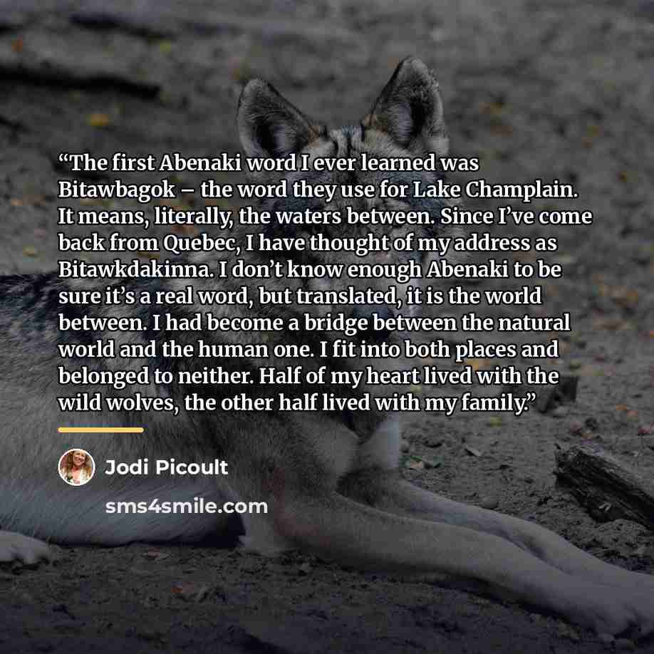 “The first Abenaki word I ever learned was Bitawbagok – the word they use for Lake Champlain. It means, literally, the waters between. Since I’ve come back from Quebec, I have thought of my address as Bitawkdakinna. I don’t know enough Abenaki to be sure it’s a real word, but translated, it is the…” quote by Jodi Picoult