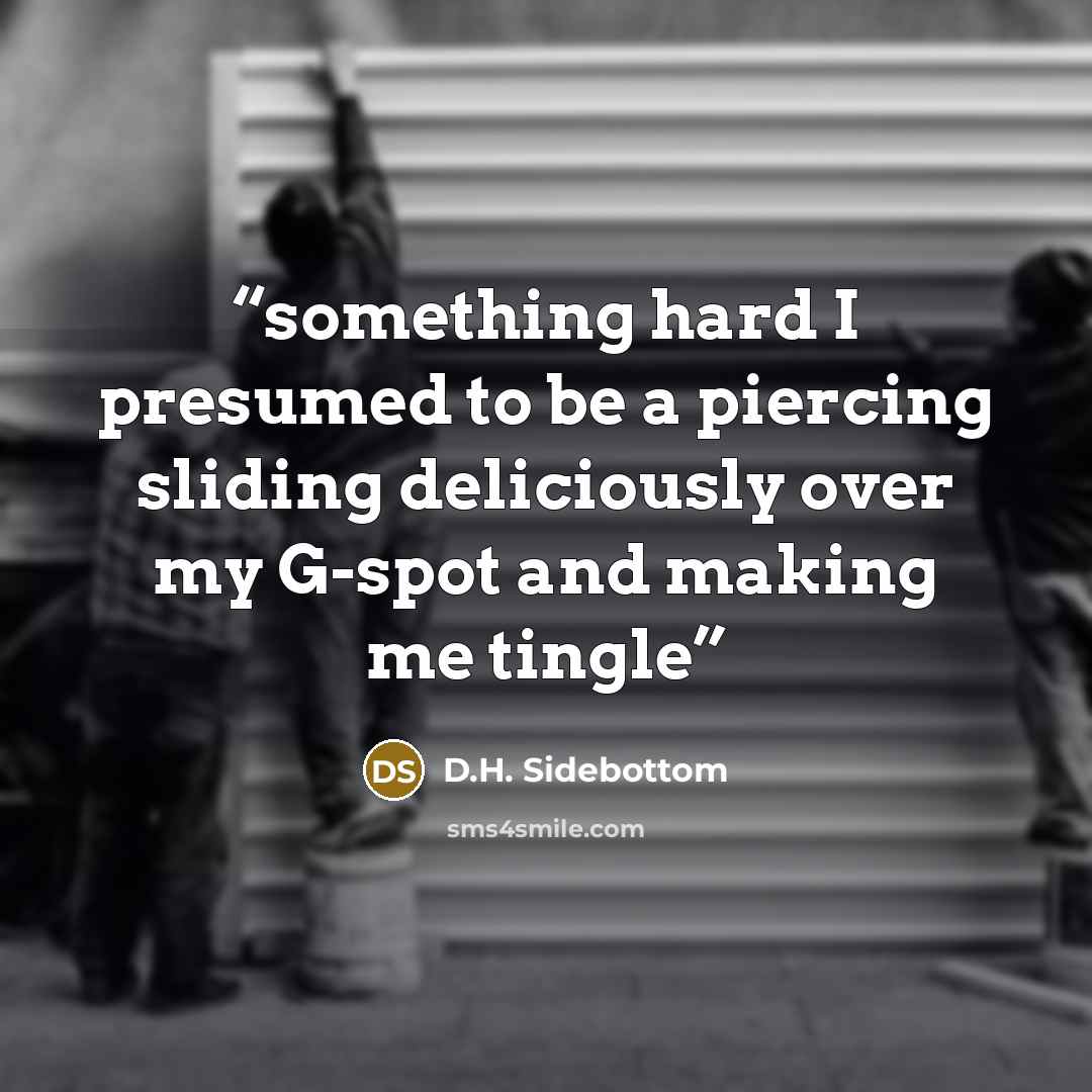 “something hard I presumed to be a piercing sliding deliciously over my G-spot and making me tingle” quote by D.H. Sidebottom