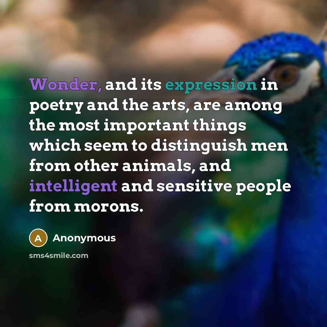“Wonder, and its expression in poetry and the arts, are among the most important things which seem to distinguish men from other animals, and intelligent and sensitive people from morons.” quote by Anonymous
