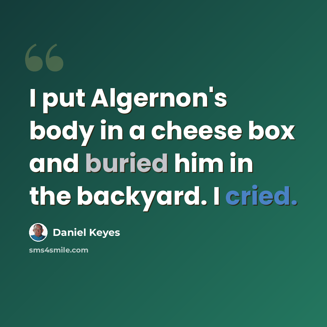“I put Algernon's body in a cheese box and buried him in the backyard. I cried.” quote by Daniel Keyes