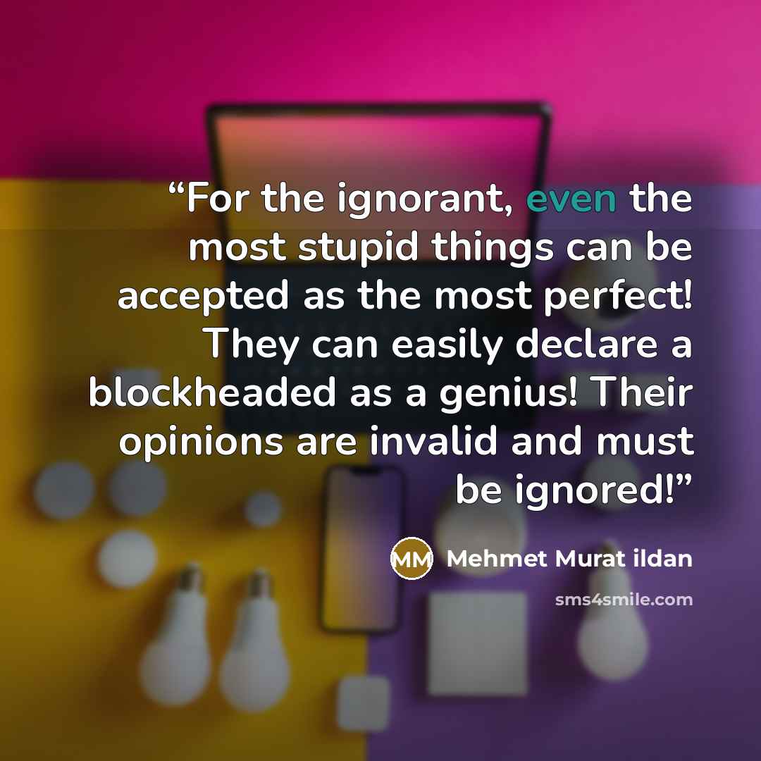 “For the ignorant, even the most stupid things can be accepted as the most perfect! They can easily declare a blockheaded as a genius! Their opinions are invalid and must be ignored!” quote by Mehmet Murat ildan