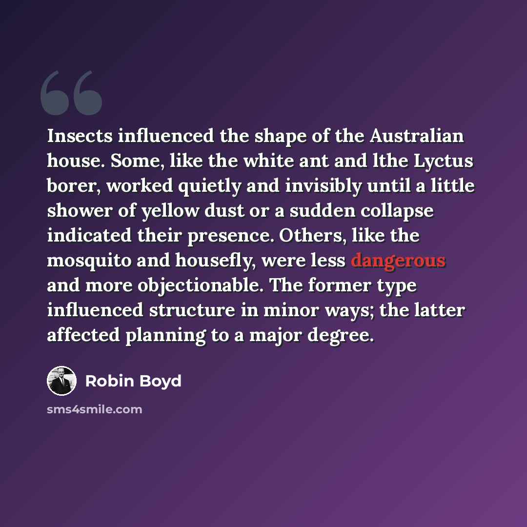 “Insects influenced the shape of the Australian house. Some, like the white ant and lthe Lyctus borer, worked quietly and invisibly until a little shower of yellow dust or a sudden collapse indicated their presence. Others, like the mosquito and housefly, were less dangerous and more objectionable…” quote by Robin Boyd