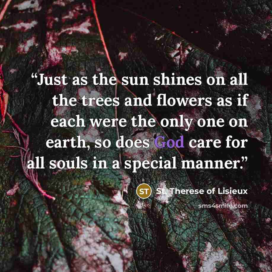 “Just as the sun shines on all the trees and flowers as if each were the only one on earth, so does God care for all souls in a special manner.” quote by St. Therese of Lisieux
