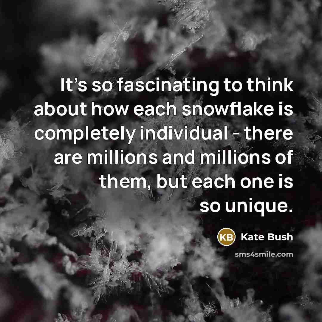 “It's so fascinating to think about how each snowflake is completely individual - there are millions and millions of them, but each one is so unique.” quote by Kate Bush