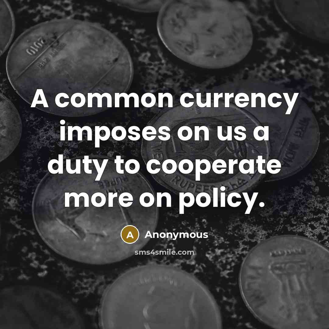 “A common currency imposes on us a duty to cooperate more on policy.” quote by Anonymous