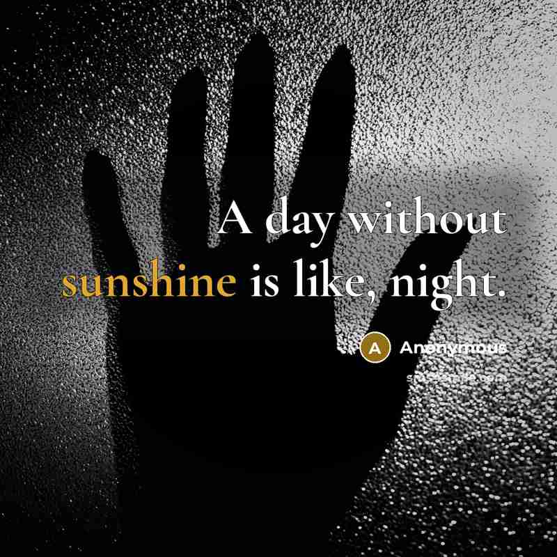 “A day without sunshine is like, night.” quote by Anonymous