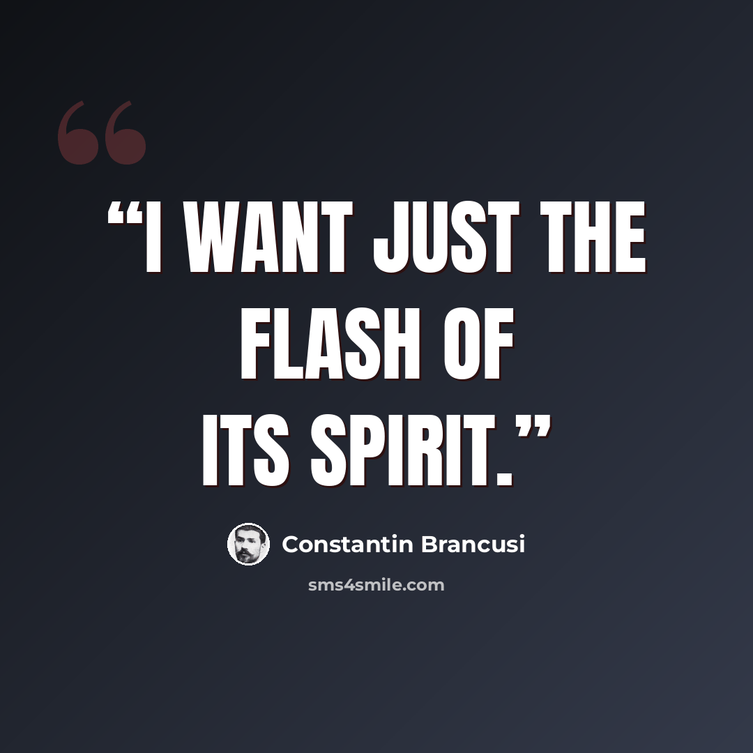 “I want just the flash of its spirit.” quote by Constantin Brancusi