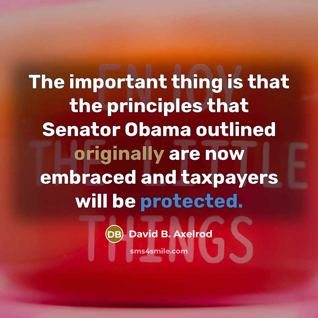 “The important thing is that the principles that Senator Obama outlined originally are now embraced and taxpayers will be protected.” quote by David B. Axelrod