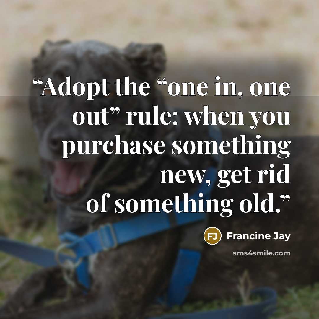 “Adopt the “one in, one out” rule: when you purchase something new, get rid of something old.” quote by Francine Jay