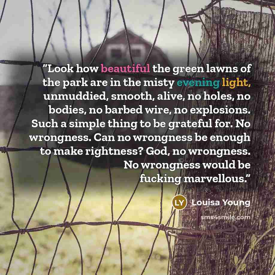 “Look how beautiful the green lawns of the park are in the misty evening light, unmuddied, smooth, alive, no holes, no bodies, no barbed wire, no explosions. Such a simple thing to be grateful for. No wrongness. Can no wrongness be enough to make rightness? God, no wrongness. No wrongness would be…” quote by Louisa Young