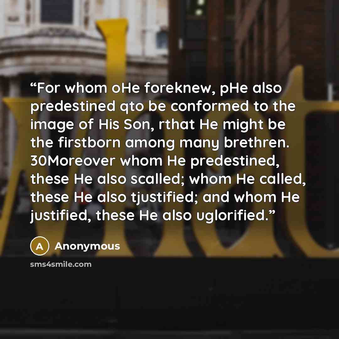 “For whom oHe foreknew, pHe also predestined qto be conformed to the image of His Son, rthat He might be the firstborn among many brethren. 30Moreover whom He predestined, these He also scalled; whom He called, these He also tjustified; and whom He justified, these He also uglorified.” quote by Anonymous