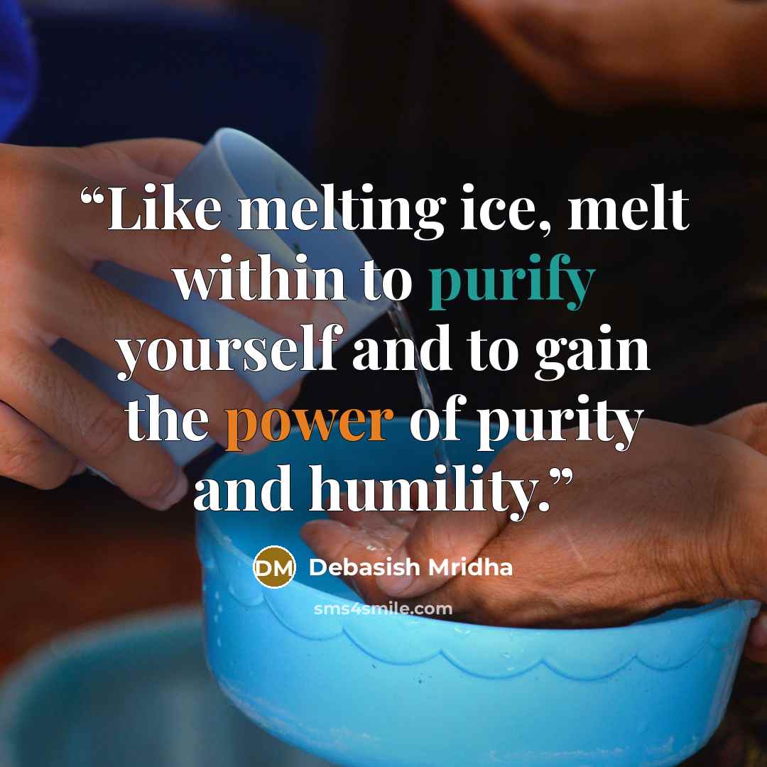 “Like melting ice, melt within to purify yourself and to gain the power of purity and humility.” quote by Debasish Mridha