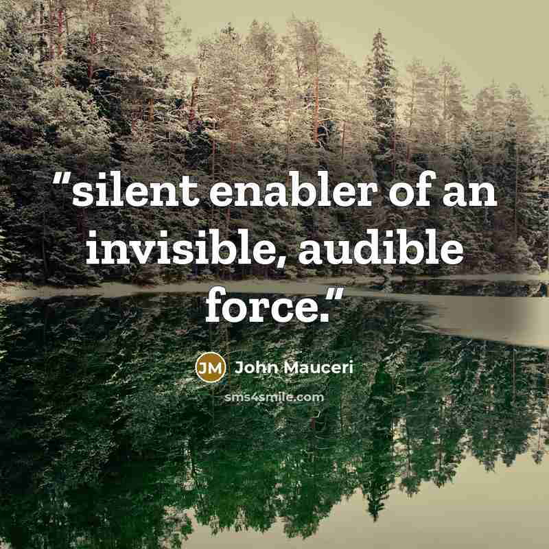 “silent enabler of an invisible, audible force.” quote by John Mauceri