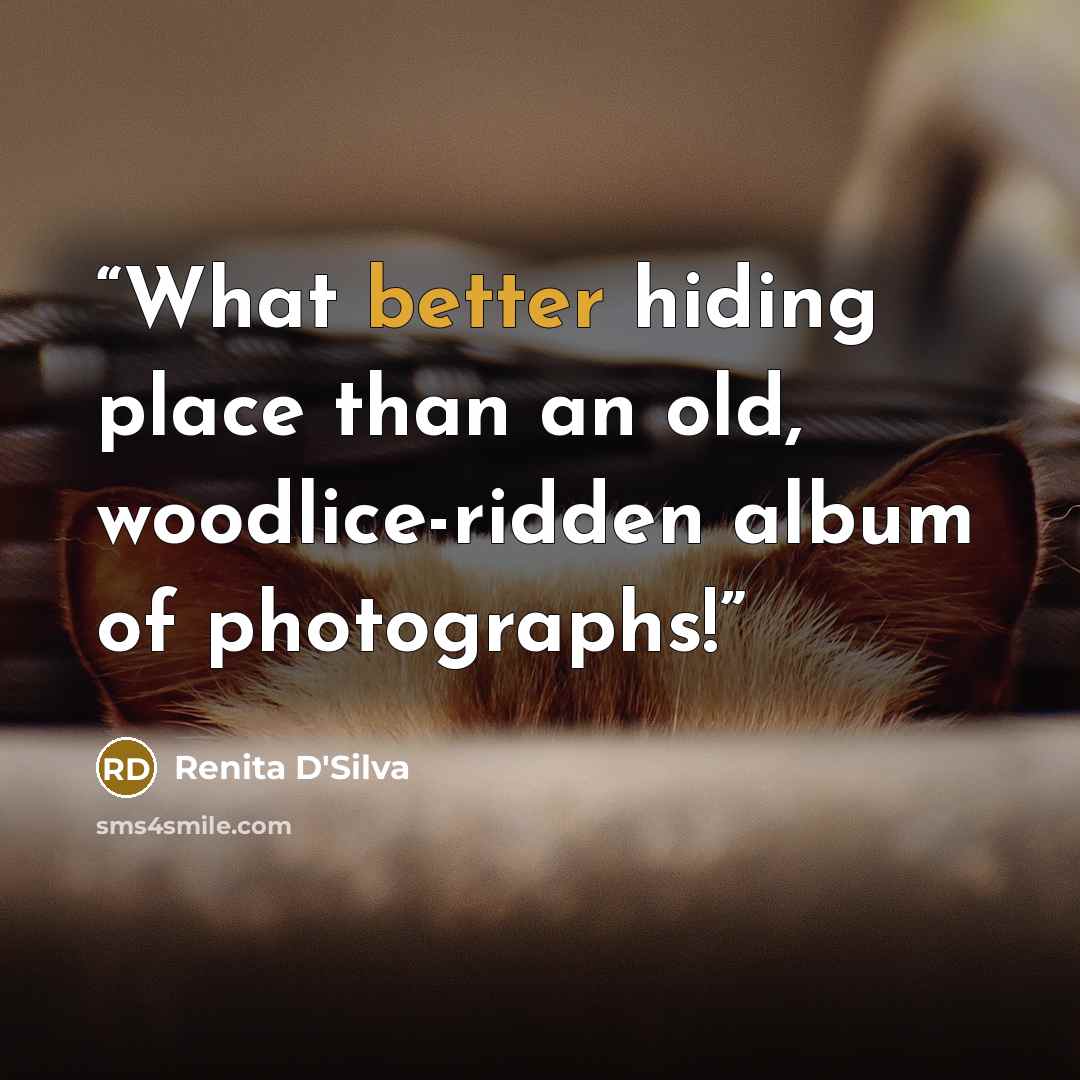 “What better hiding place than an old, woodlice-ridden album of photographs!” quote by Renita D'Silva
