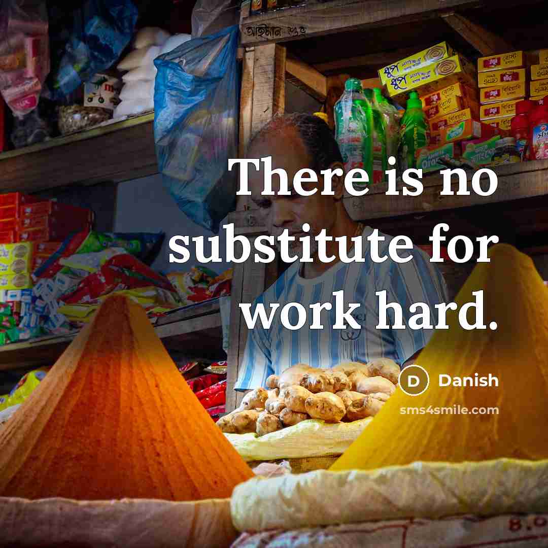 “There is no substitute for work hard.” quote by Danish