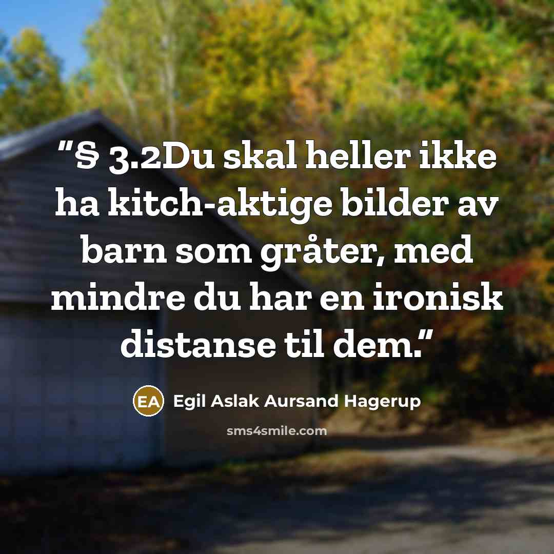 “§ 3.2Du skal heller ikke ha kitch-aktige bilder av barn som gråter, med mindre du har en ironisk distanse til dem.” quote by Egil Aslak Aursand Hagerup