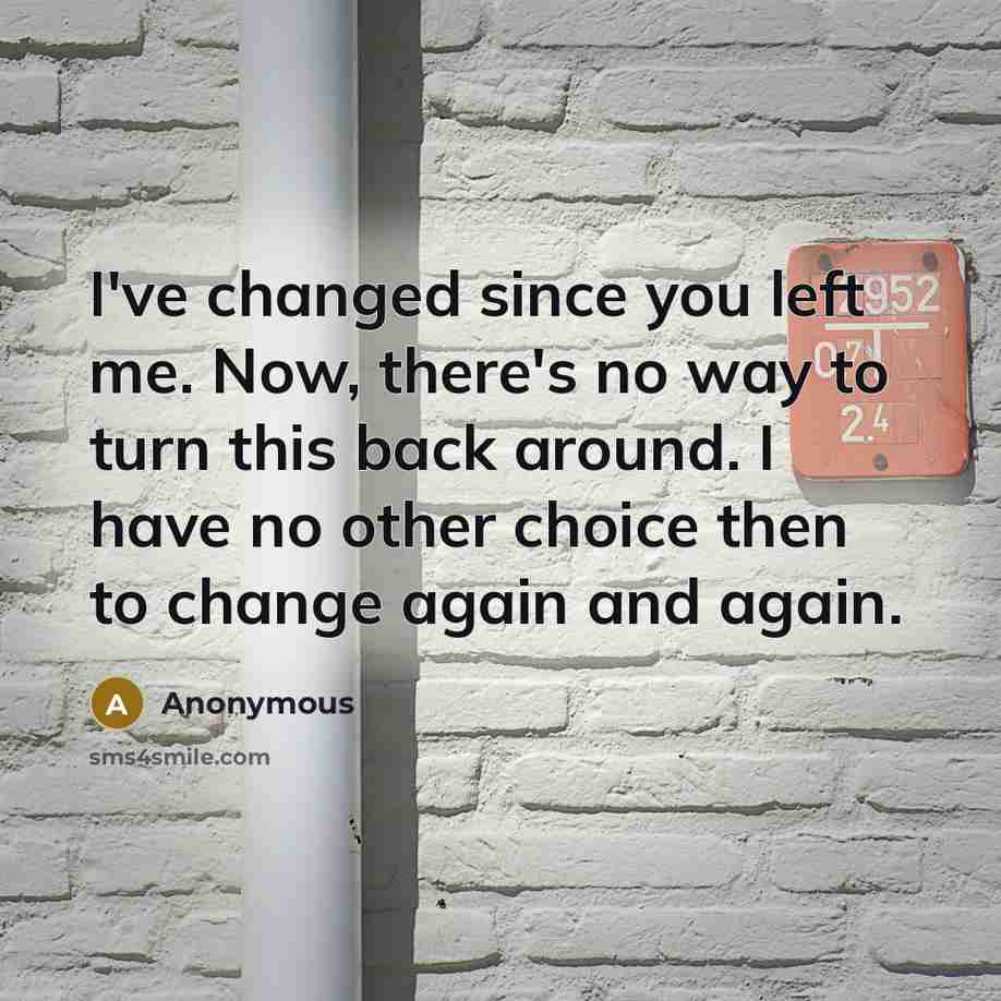 “I've changed since you left me. Now, there's no way to turn this back around. I have no other choice then to change again and again.” quote by Anonymous