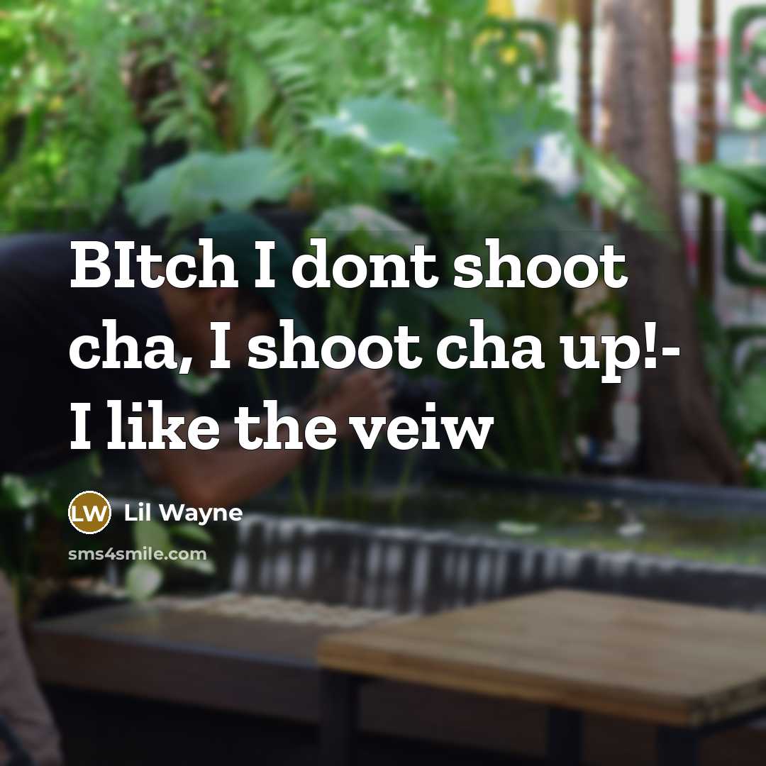“BItch I dont shoot cha, I shoot cha up!- I like the veiw” quote by Lil Wayne