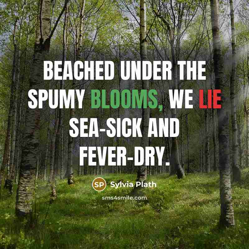“Beached under the spumy blooms, we lie Sea-sick and fever-dry.” quote by Sylvia Plath
