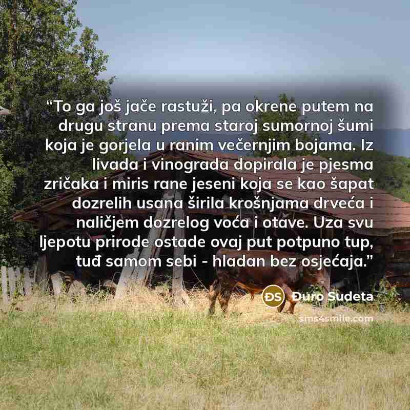 “To ga još jače rastuži, pa okrene putem na drugu stranu prema staroj sumornoj šumi koja je gorjela u ranim večernjim bojama. Iz livada i vinograda dopirala je pjesma zričaka i miris rane jeseni koja se kao šapat dozrelih usana širila krošnjama drveća i naličjem dozrelog voća i otave. Uza svu…” quote by Đuro Sudeta