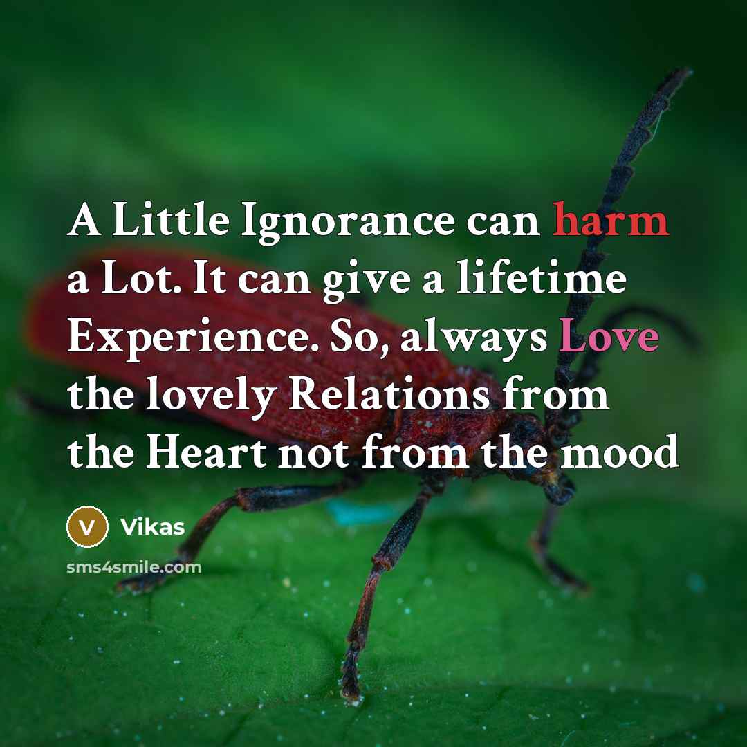“A Little Ignorance can harm a Lot. It can give a lifetime Experience. So, always Love the lovely Relations from the Heart not from the mood” quote by Vikas