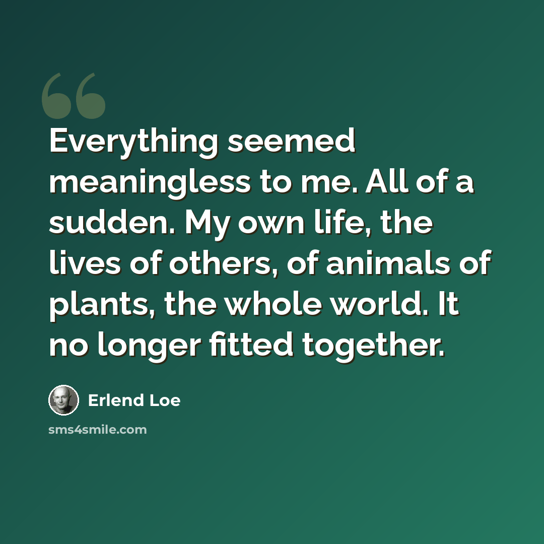 “Everything seemed meaningless to me. All of a sudden. My own life, the lives of others, of animals of plants, the whole world. It no longer fitted together.” quote by Erlend Loe