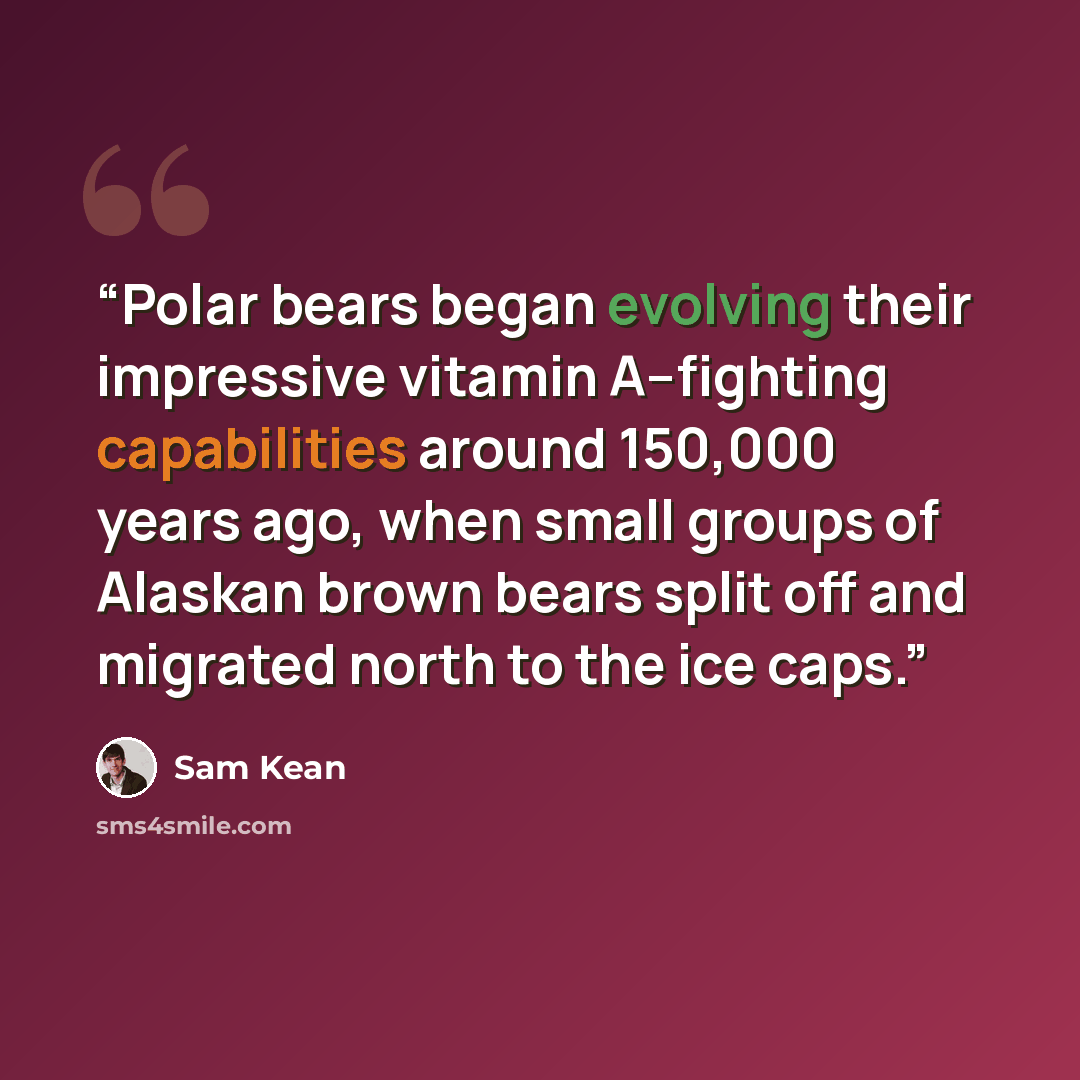 “Polar bears began evolving their impressive vitamin A–fighting capabilities around 150,000 years ago, when small groups of Alaskan brown bears split off and migrated north to the ice caps.” quote by Sam Kean
