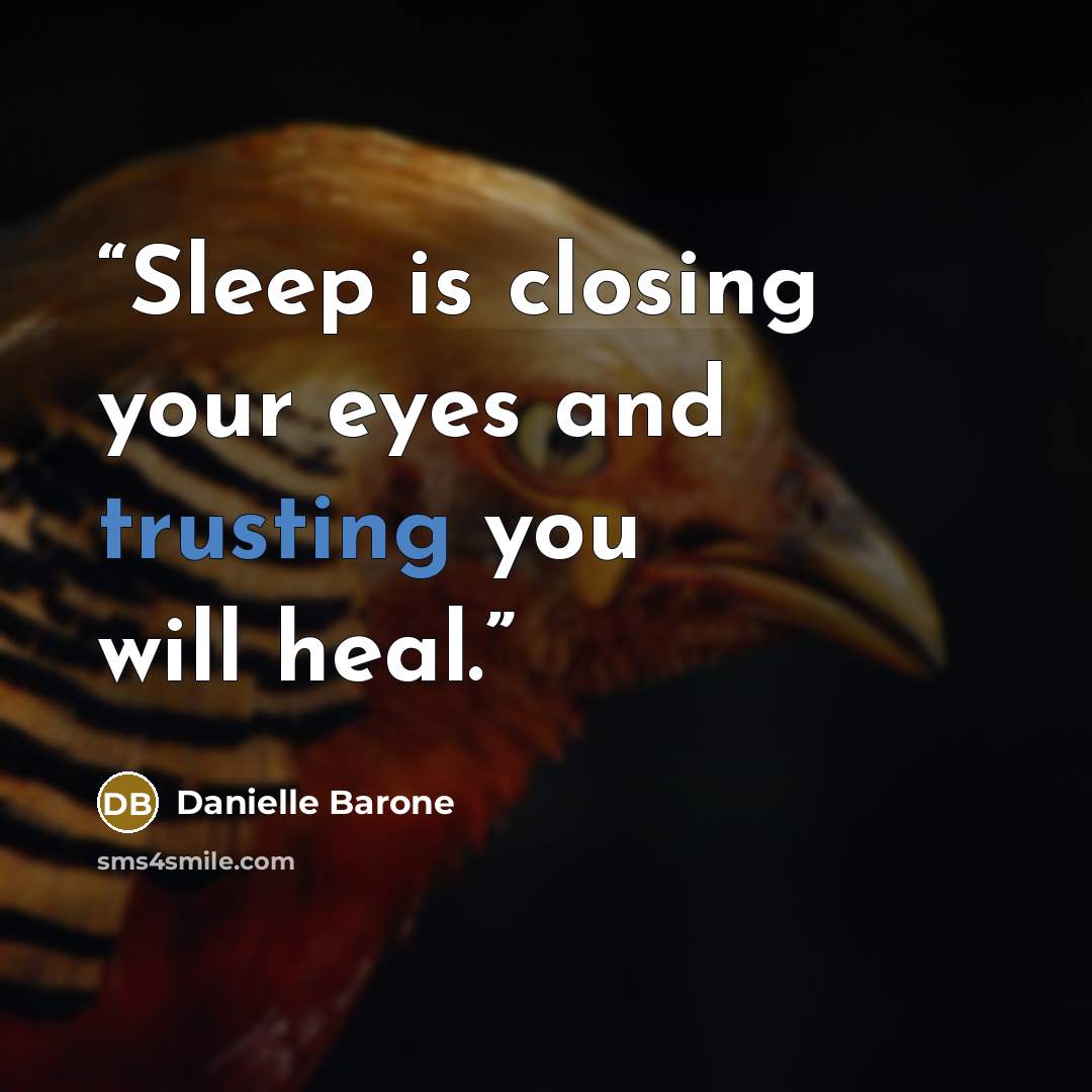 “Sleep is closing your eyes and trusting you will heal.” quote by Danielle Barone