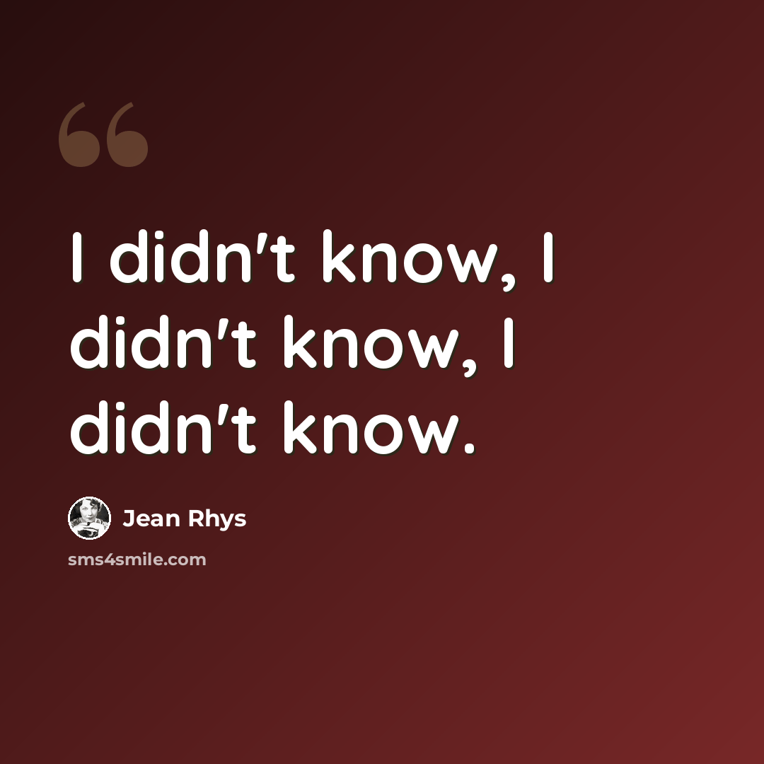 “I didn't know, I didn't know, I didn't know.” quote by Jean Rhys