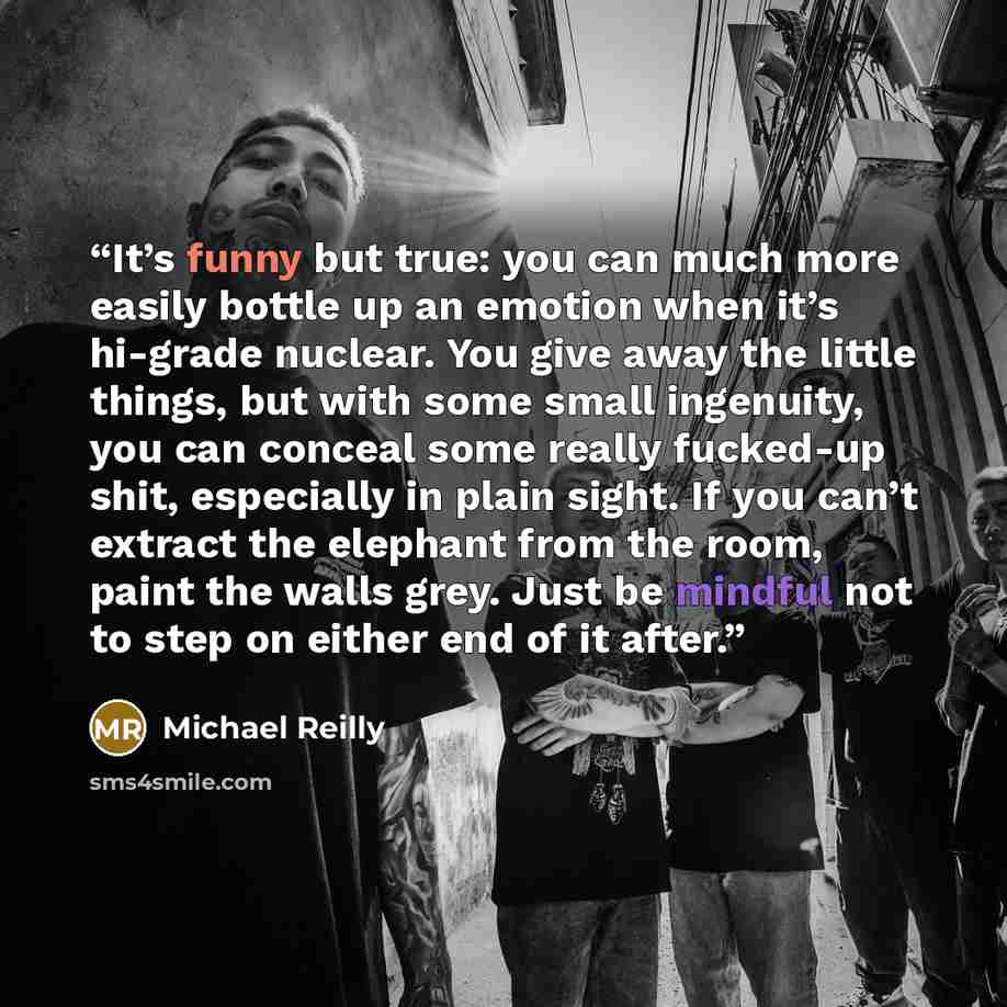 “It’s funny but true: you can much more easily bottle up an emotion when it’s hi-grade nuclear. You give away the little things, but with some small ingenuity, you can conceal some really fucked-up shit, especially in plain sight. If you can’t extract the elephant from the room, paint the walls…” quote by Michael Reilly