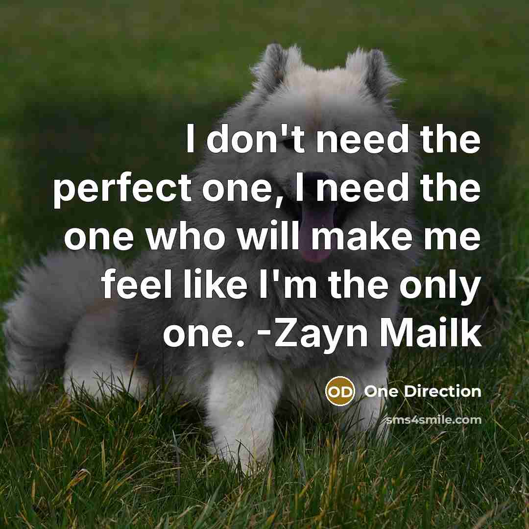 “I don't need the perfect one, I need the one who will make me feel like I'm the only one. -Zayn Mailk” quote by One Direction