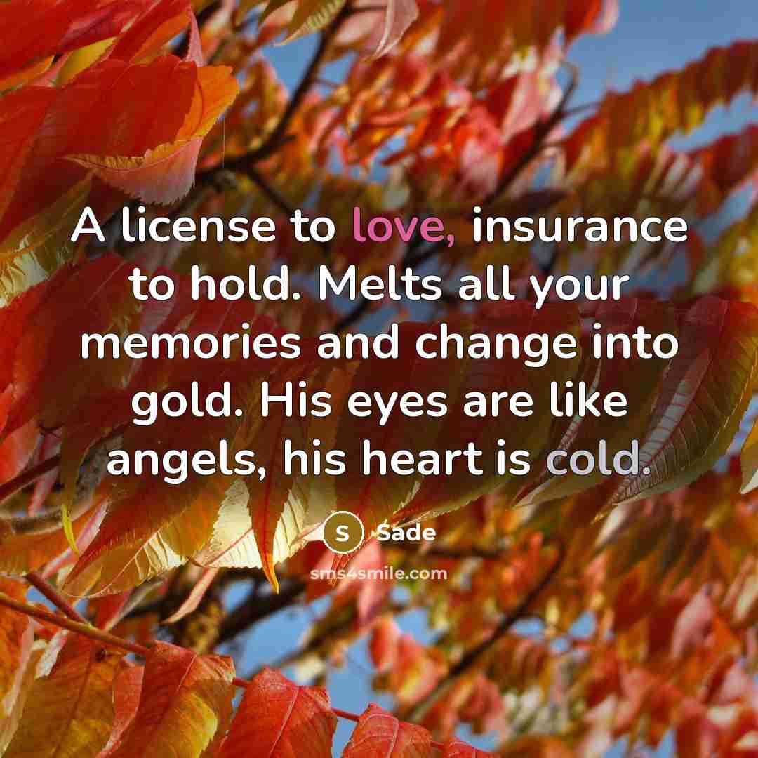 “A license to love, insurance to hold. Melts all your memories and change into gold. His eyes are like angels, his heart is cold.” quote by Sade