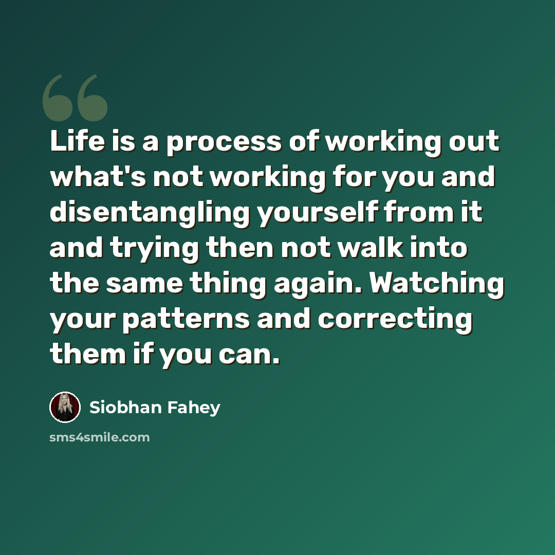 “Life is a process of working out what's not working for you and disentangling yourself from it and trying then not walk into the same thing again. Watching your patterns and correcting them if you can.” quote by Siobhan Fahey