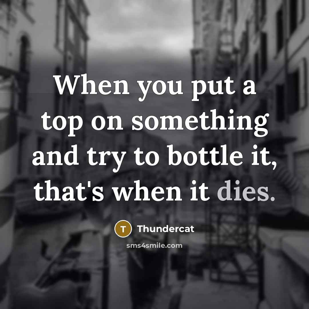 “When you put a top on something and try to bottle it, that's when it dies.” quote by Thundercat