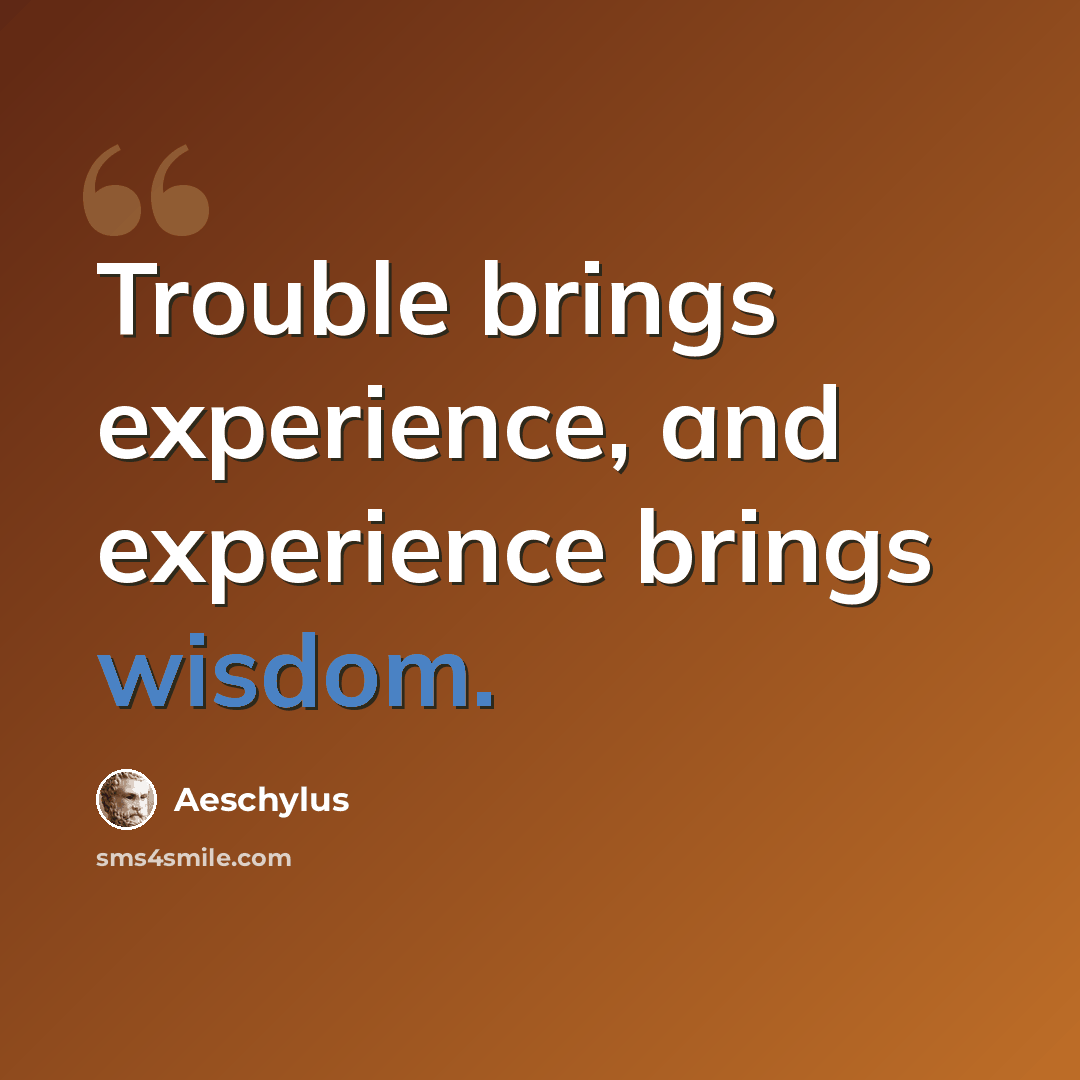“Trouble brings experience, and experience brings wisdom.” quote by Aeschylus