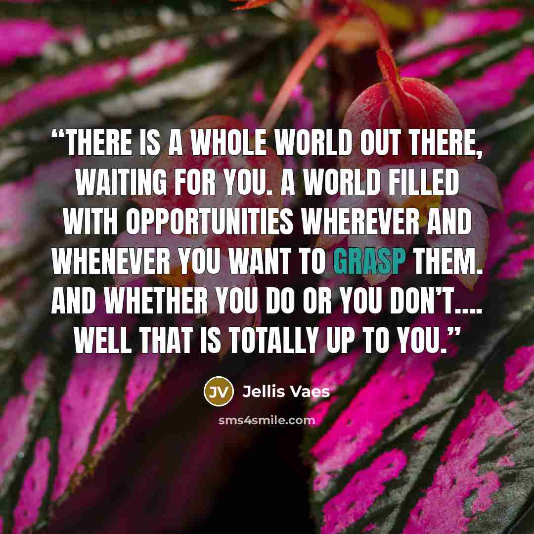 “There is a whole world out there, waiting for you. A world filled with opportunities wherever and whenever you want to grasp them. And whether you do or you don’t…. well that is totally up to you.” quote by Jellis Vaes