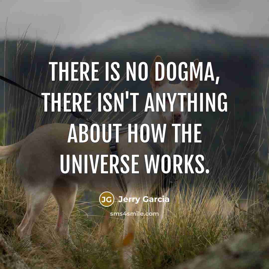 “There is no dogma, there isn't anything about how the universe works.” quote by Jerry Garcia