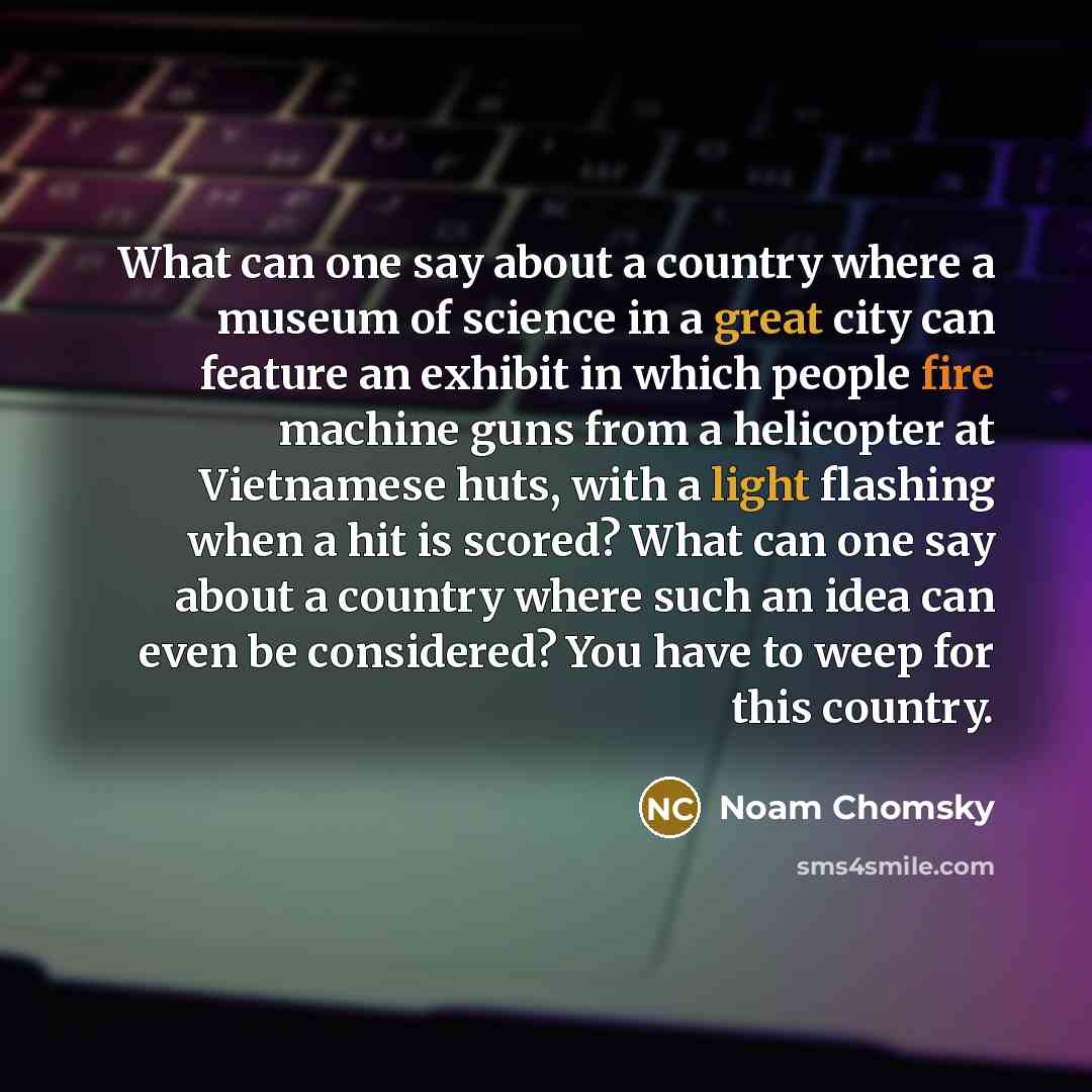 “What can one say about a country where a museum of science in a great city can feature an exhibit in which people fire machine guns from a helicopter at Vietnamese huts, with a light flashing when a hit is scored? What can one say about a country where such an idea can even be considered? You have…” quote by Noam Chomsky