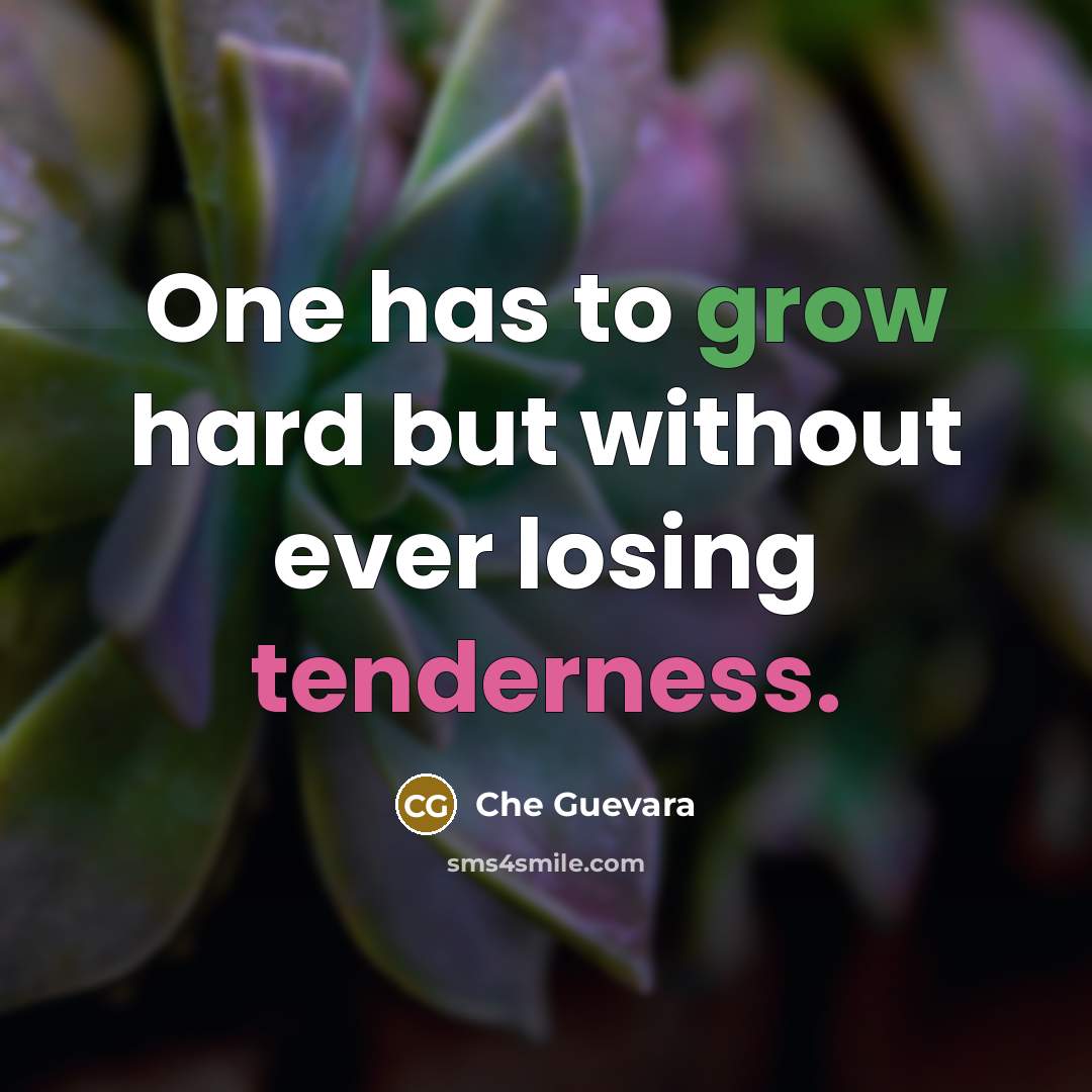 “One has to grow hard but without ever losing tenderness.” quote by Che Guevara