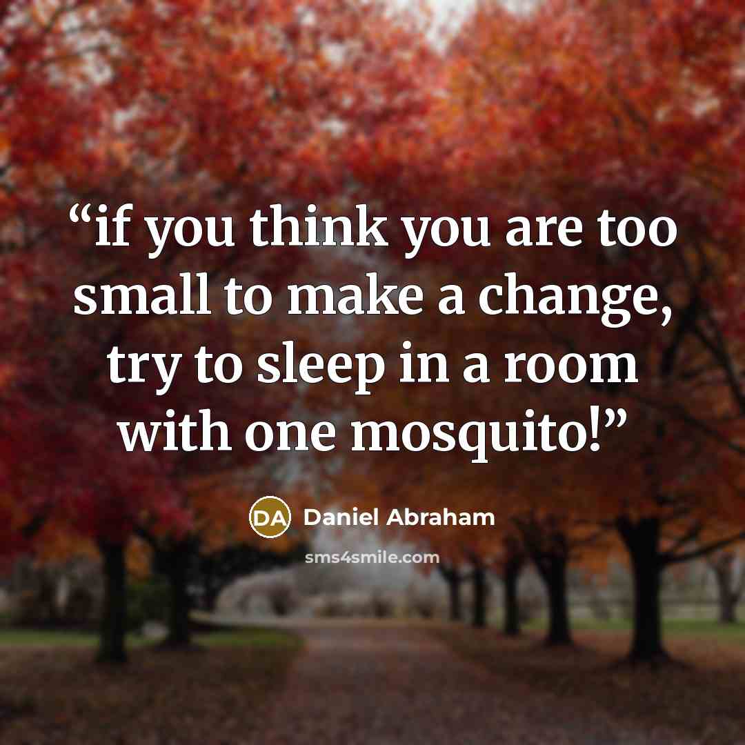“if you think you are too small to make a change, try to sleep in a room with one mosquito!” quote by Daniel Abraham