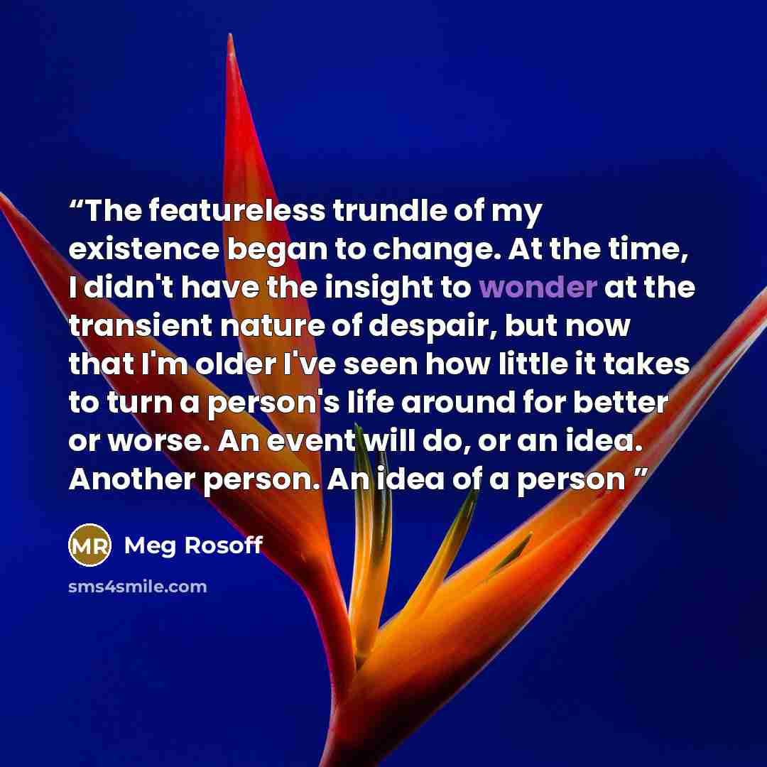 “The featureless trundle of my existence began to change. At the time, I didn't have the insight to wonder at the transient nature of despair, but now that I'm older I've seen how little it takes to turn a person's life around for better or worse. An event will do, or an idea. Another person. An…” quote by Meg Rosoff
