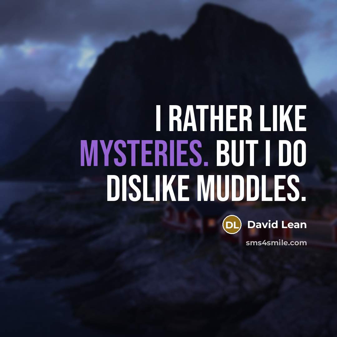 “I rather like mysteries. But I do dislike muddles.” quote by David Lean