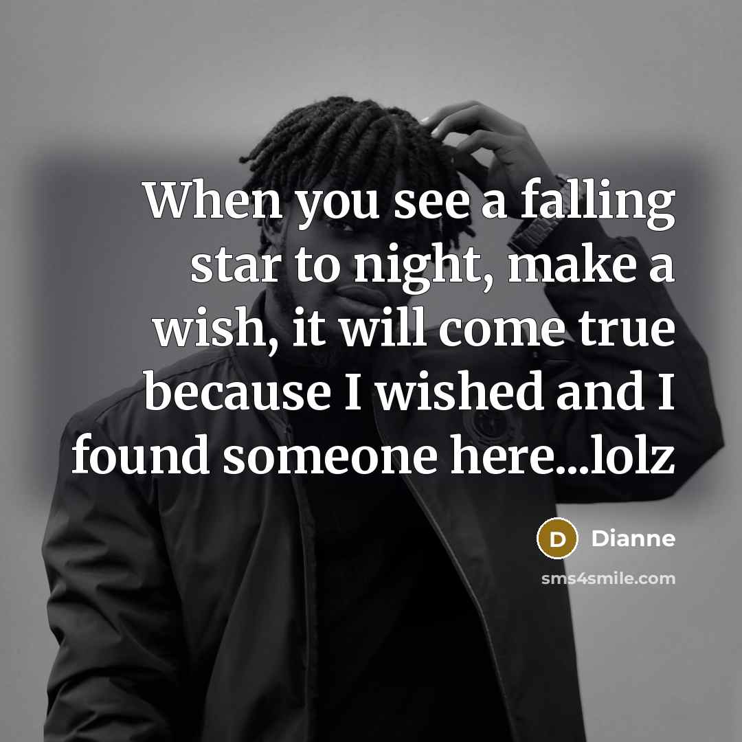 “When you see a falling star to night, make a wish, it will come true because I wished and I found someone here...lolz” quote by Dianne