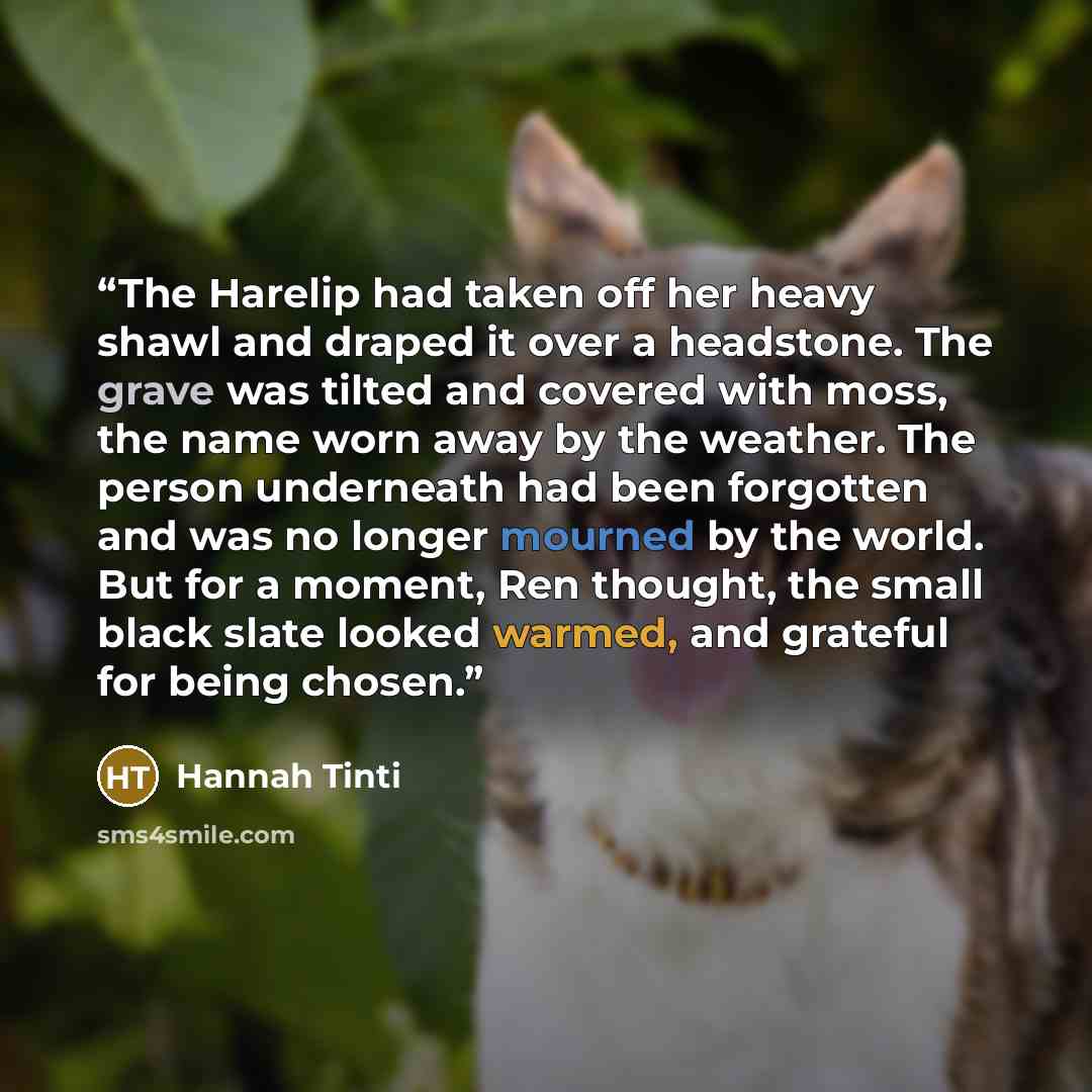 “The Harelip had taken off her heavy shawl and draped it over a headstone. The grave was tilted and covered with moss, the name worn away by the weather. The person underneath had been forgotten and was no longer mourned by the world. But for a moment, Ren thought, the small black slate looked…” quote by Hannah Tinti