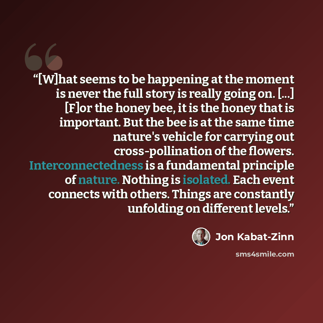 “[W]hat seems to be happening at the moment is never the full story is really going on. [...] [F]or the honey bee, it is the honey that is important. But the bee is at the same time nature's vehicle for carrying out cross-pollination of the flowers. Interconnectedness is a fundamental principle of…” quote by Jon Kabat-Zinn