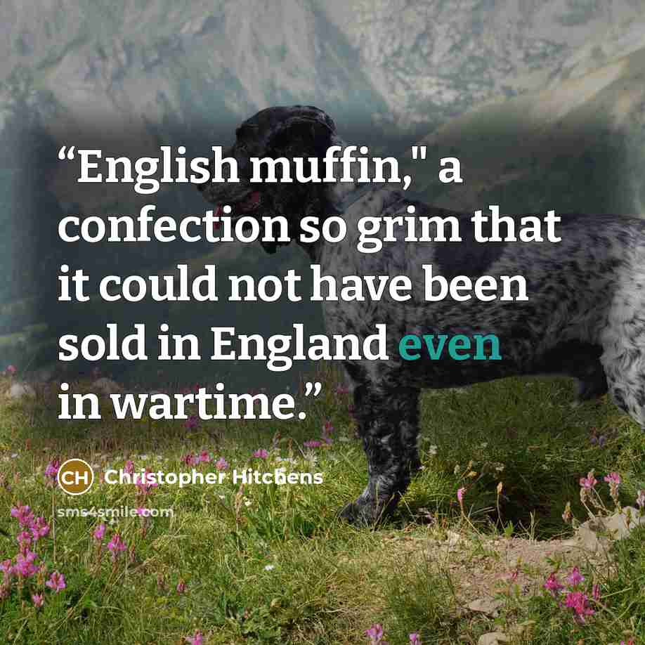 “English muffin," a confection so grim that it could not have been sold in England even in wartime.” quote by Christopher Hitchens