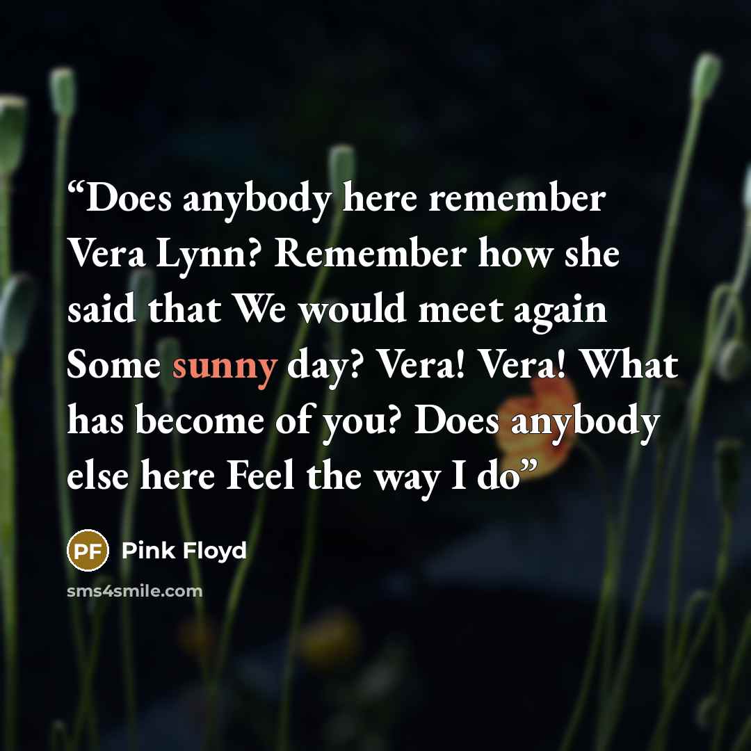 “Does anybody here remember Vera Lynn? Remember how she said that We would meet again Some sunny day? Vera! Vera! What has become of you? Does anybody else here Feel the way I do” quote by Pink Floyd
